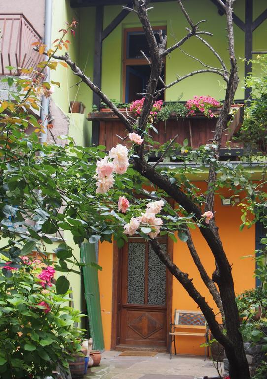 Guest Accommodation Etno Konak Tasana Ni Exterior foto