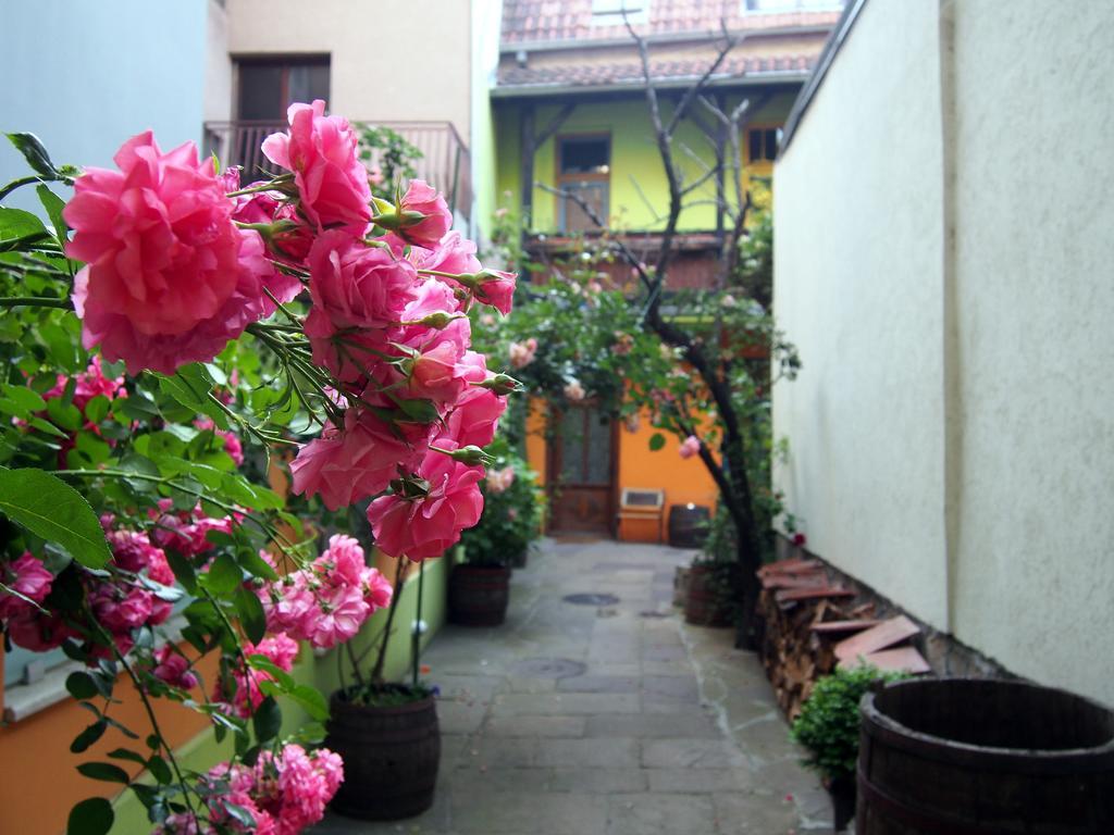 Guest Accommodation Etno Konak Tasana Ni Exterior foto